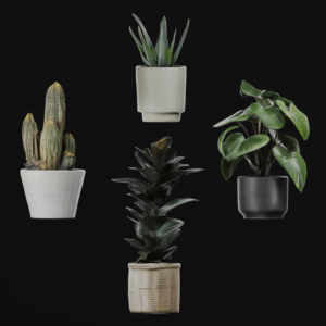 Plants - 3D Pack